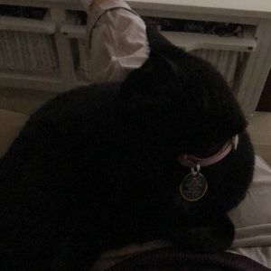 Meet your Posher, Jamie